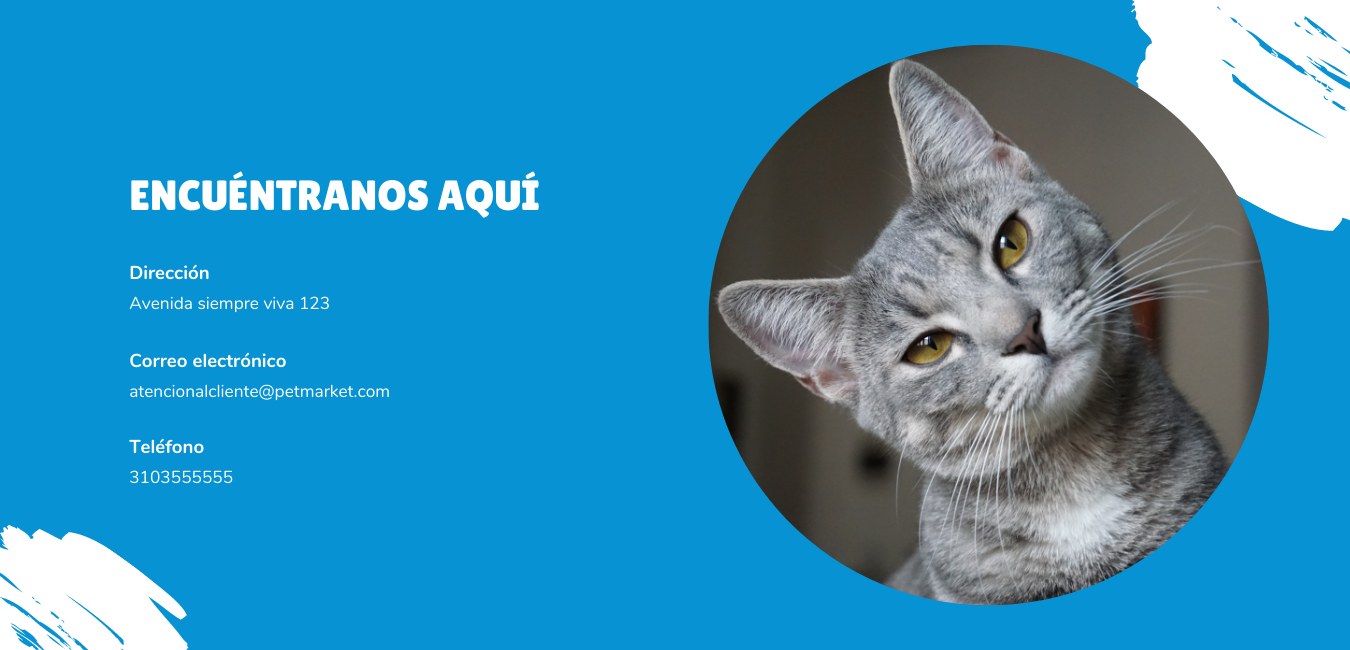 Contactanos